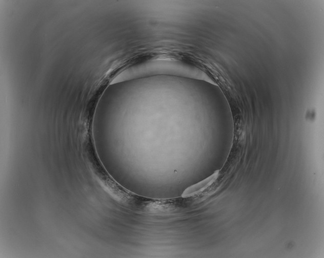 X0000090770568200707201441