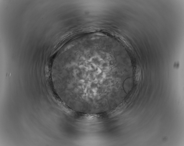 X0000090770569200707201441