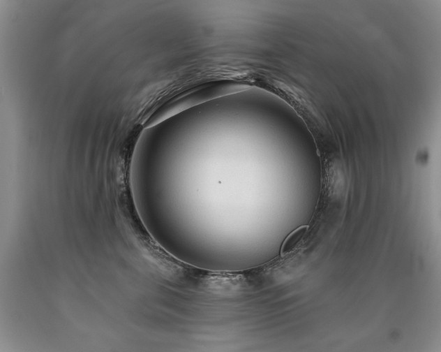 X0000090770571200707201441