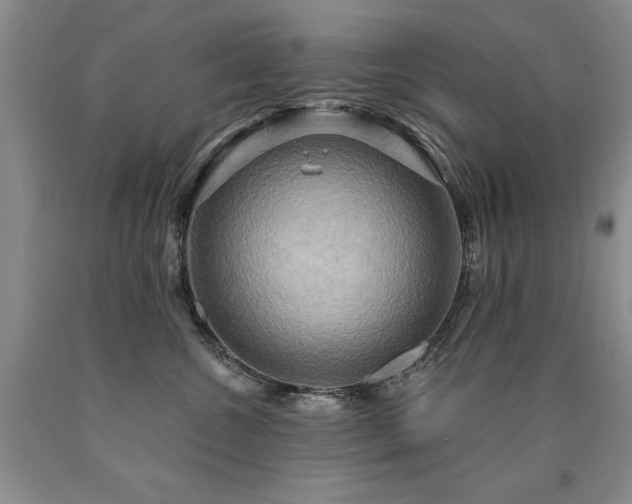 X0000090770572200707201441