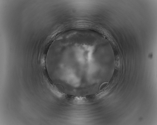 X0000090770573200707201441