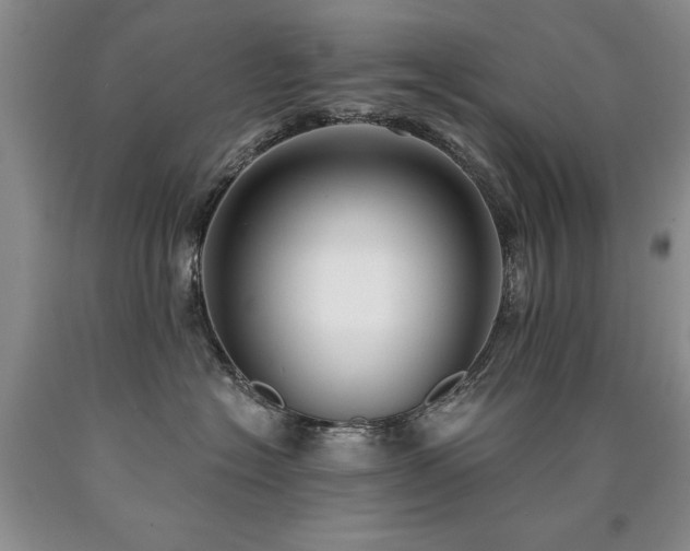 X0000090770574200707201441