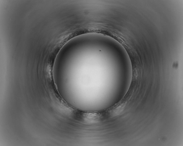 X0000090770575200707201441
