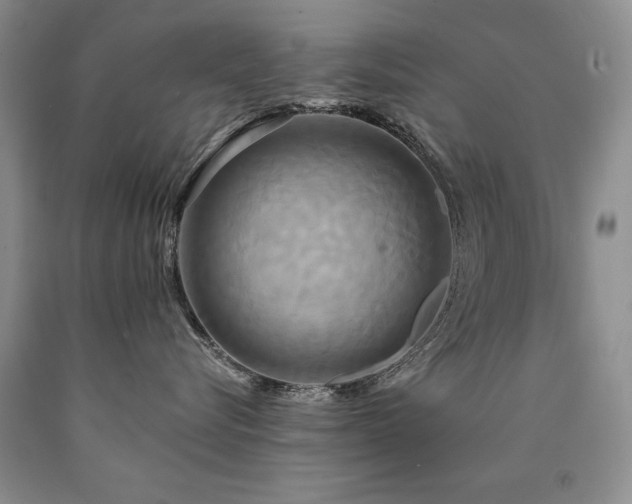 X0000090770576200707201441