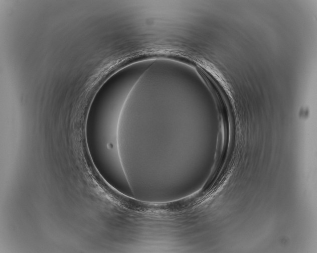 X0000090770577200707201440
