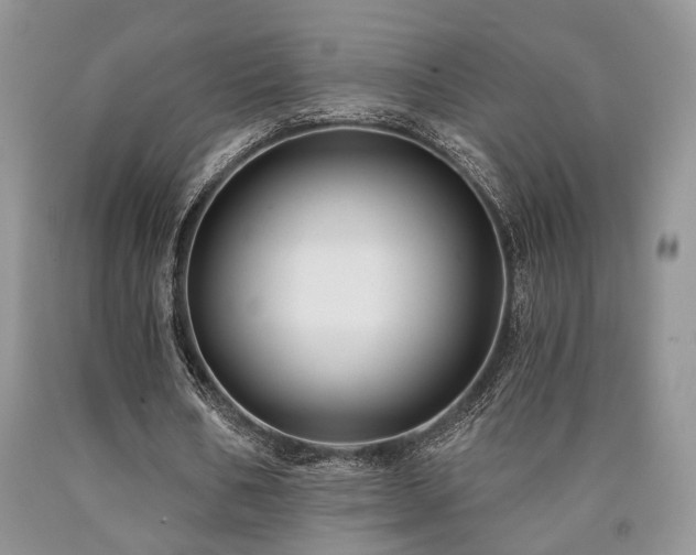 X0000090770578200707201440