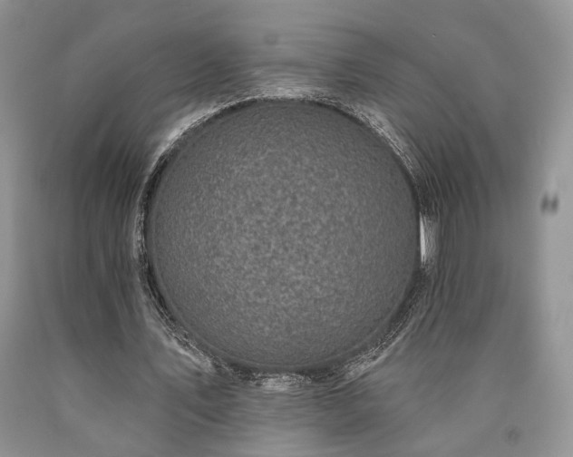 X0000090770579200707201440