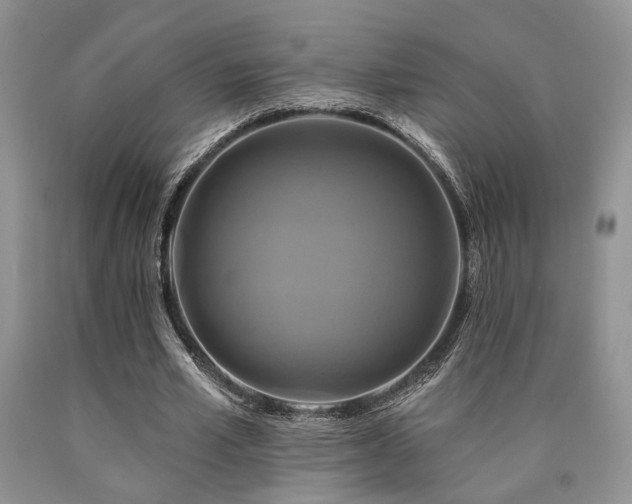 X0000090770581200707201440