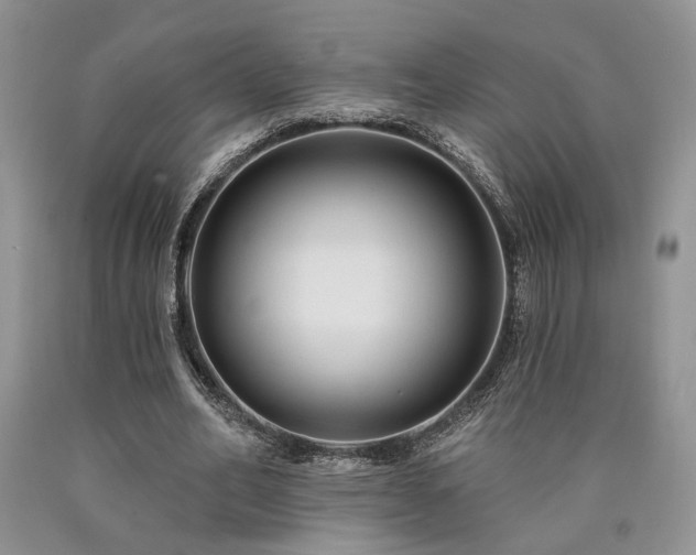 X0000090770582200707201440