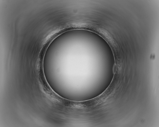 X0000090770583200707201440