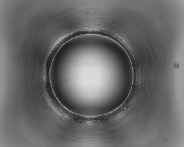 X0000090770584200707201440