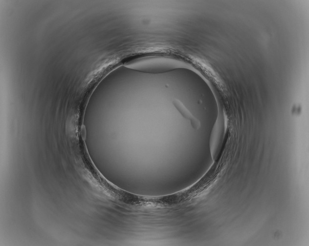 X0000090770585200707201440