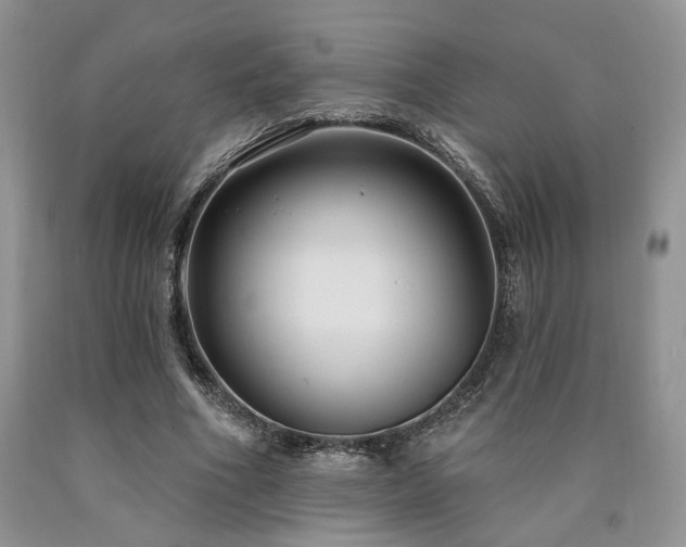 X0000090770586200707201440