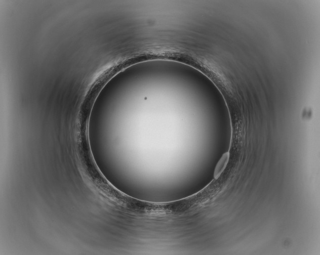 X0000090770587200707201440