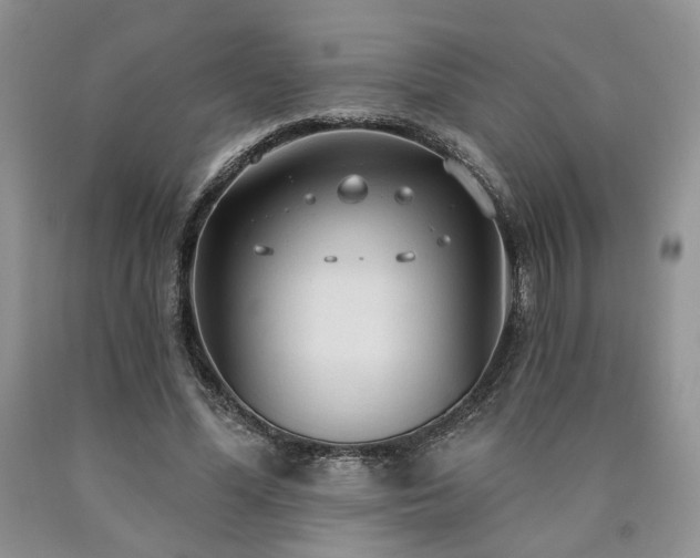 X0000090770588200707201440