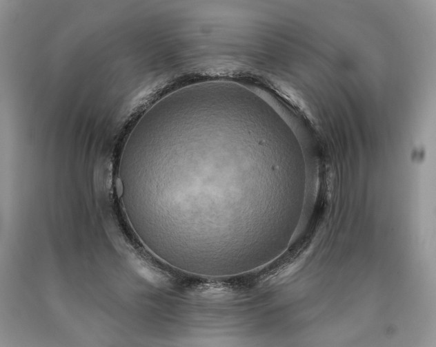 X0000090770589200707201440