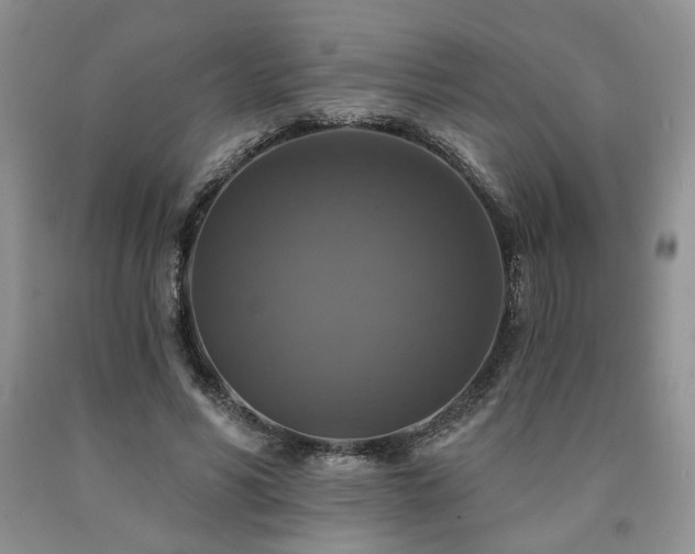X0000090770590200707201440