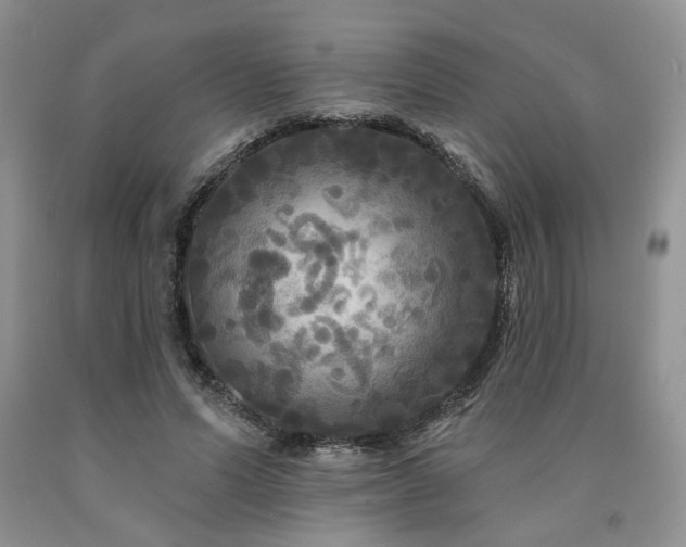 X0000090770591200707201440