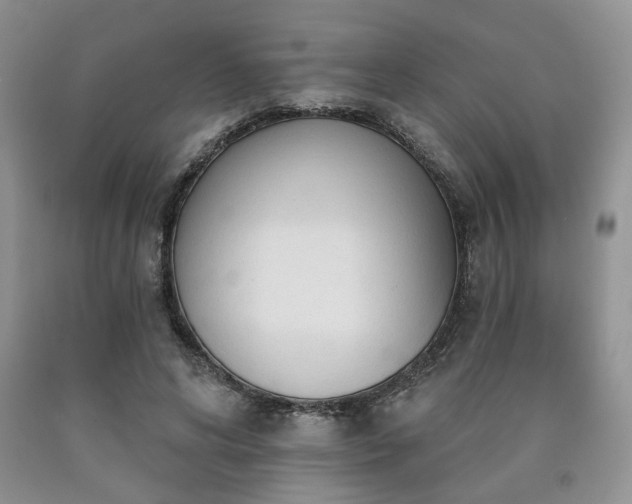X0000090770592200707201440