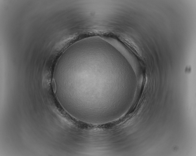 X0000090770593200707201440
