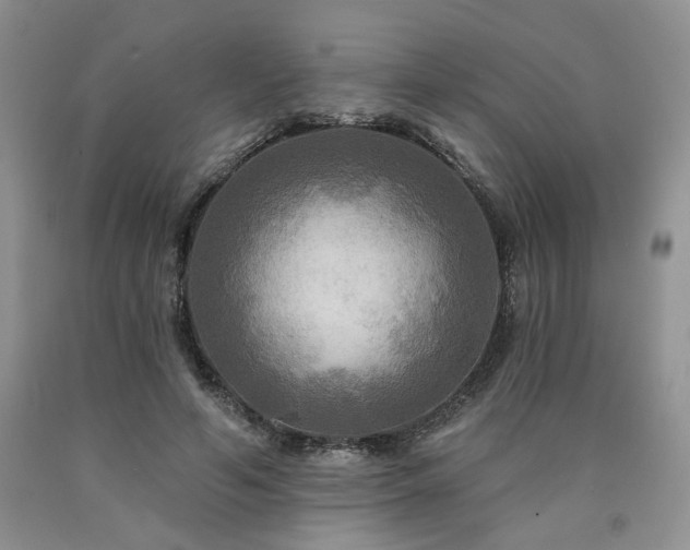 X0000090770594200707201440