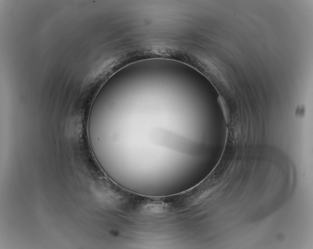 X0000090770595200707201440
