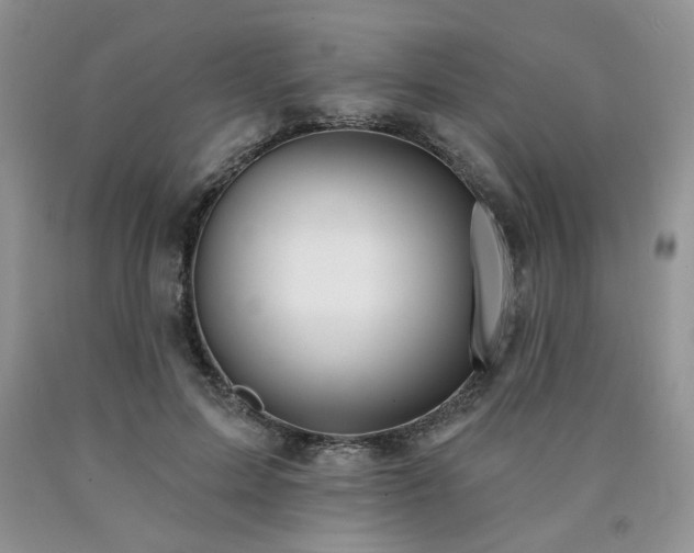 X0000090770599200707201440