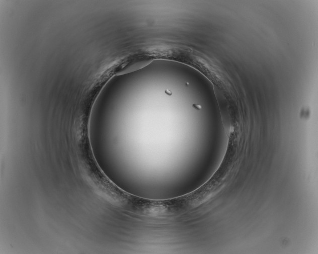 X0000090770600200707201440