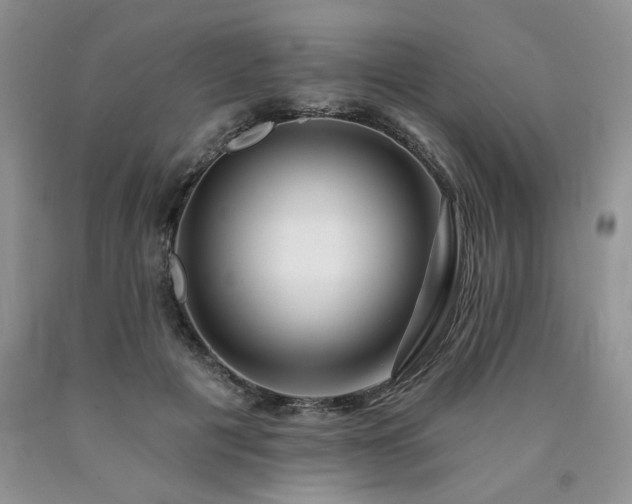 X0000090770601200707201440