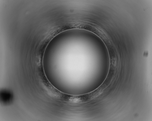 X0000090770602200707201440
