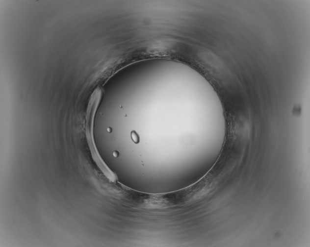 X0000090770603200707201440