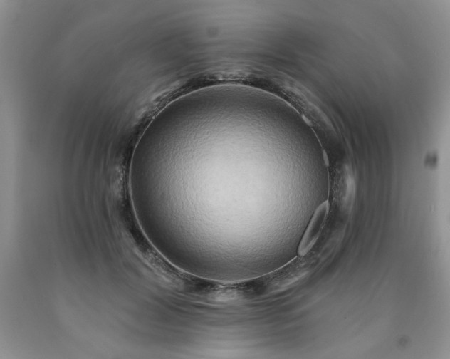 X0000090770604200707201440