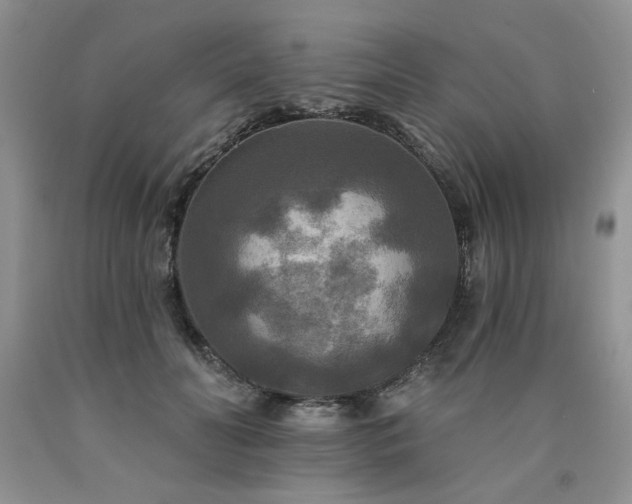 X0000090770606200707201440