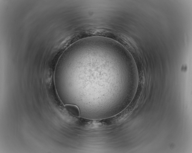 X0000090770607200707201440