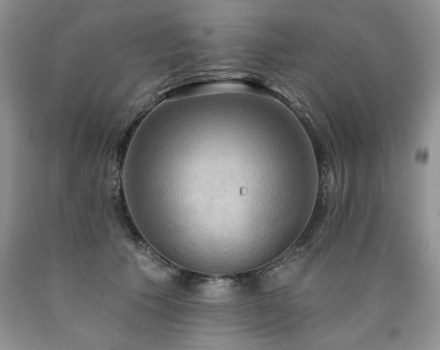X0000090770609200707201440