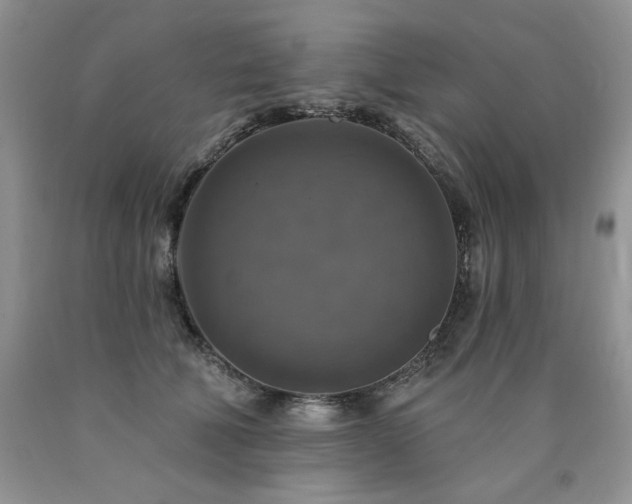 X0000090770610200707201440