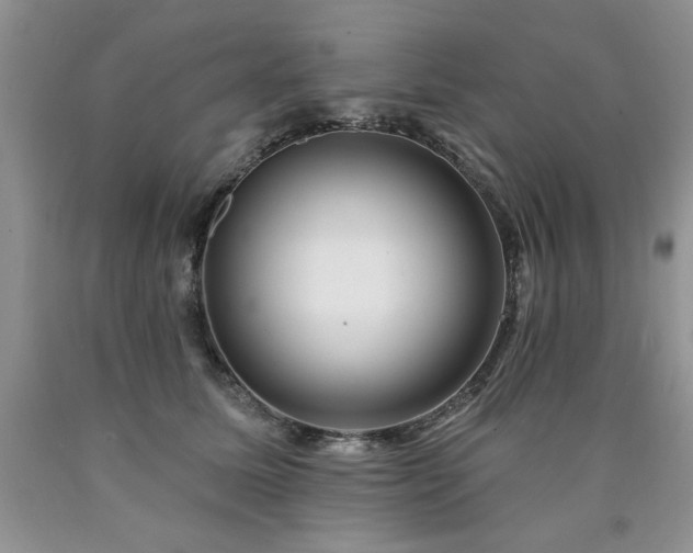 X0000090770611200707201440