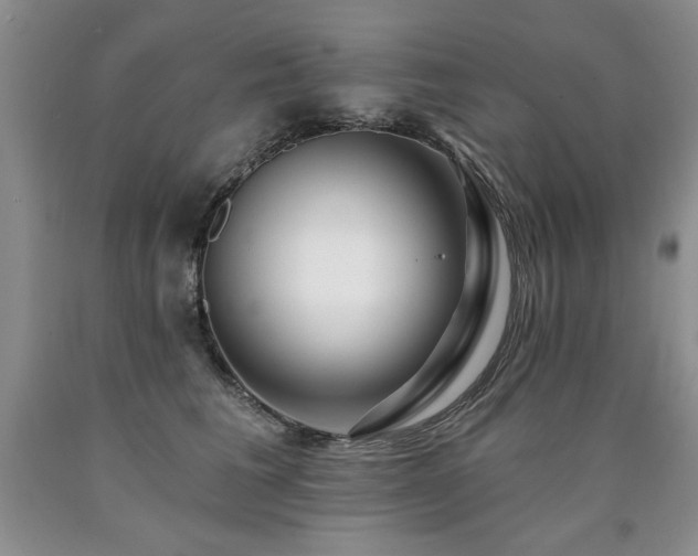 X0000090770613200707201440