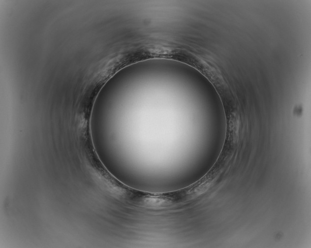 X0000090770614200707201440