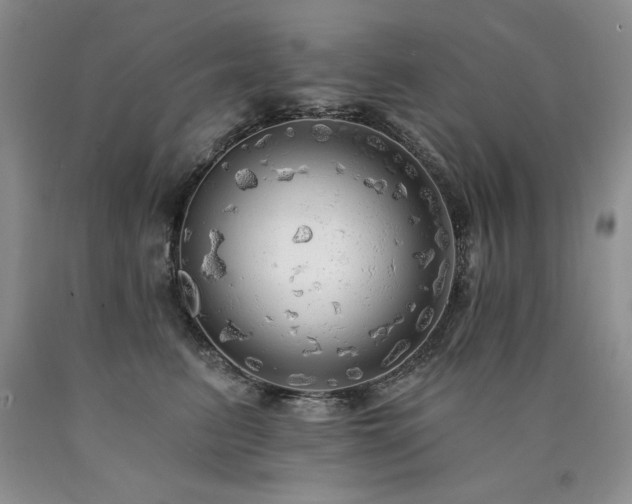 X0000090770615200707201440