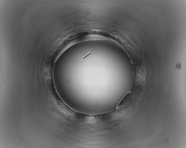 X0000090770616200707201440