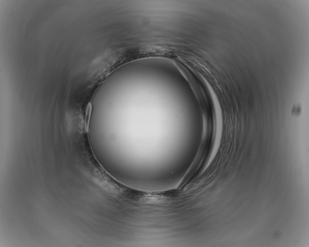X0000090770617200707201440