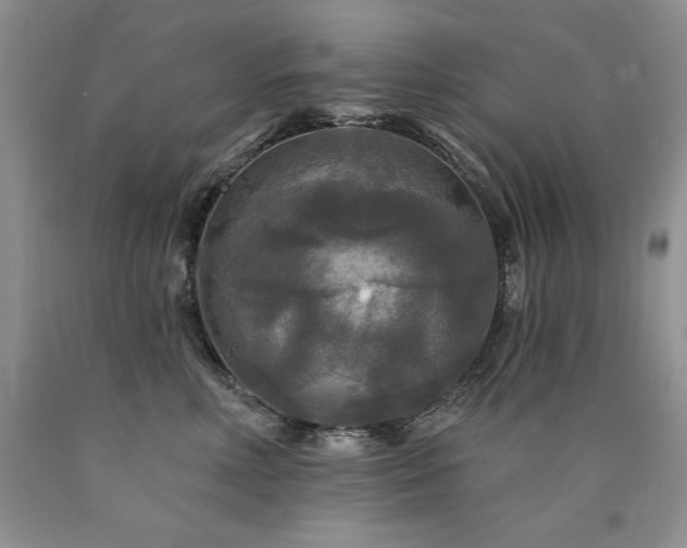 X0000090770618200707201440
