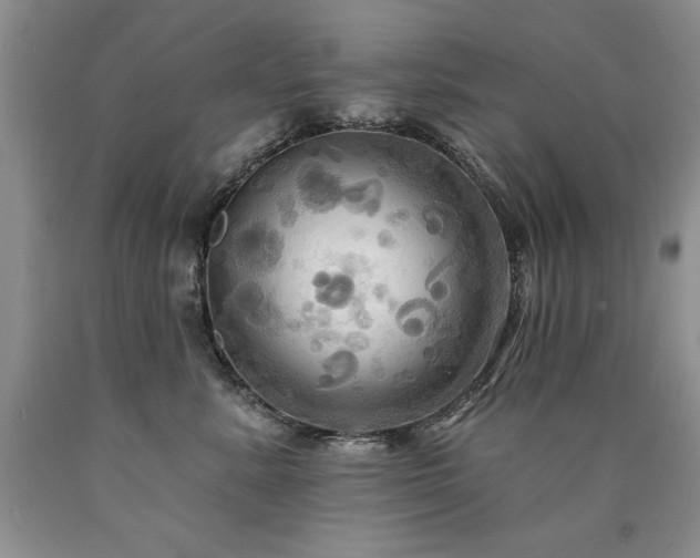 X0000090770619200707201440