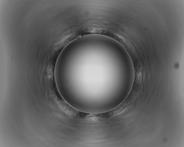 X0000090770620200707201440