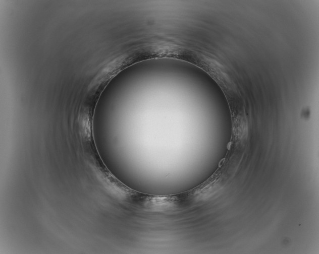 X0000090770622200707201440