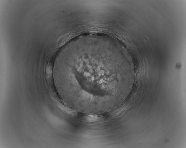 X0000090770623200707201440
