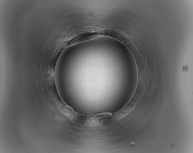 X0000090770624200707201439