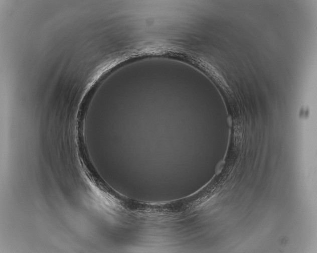 X0000090770626200707201439