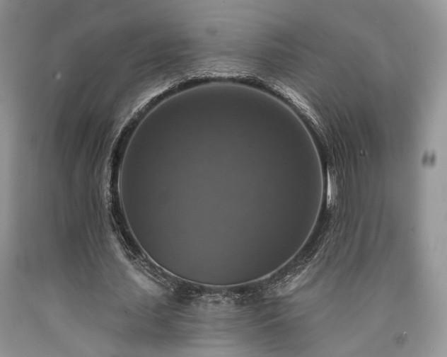 X0000090770627200707201439